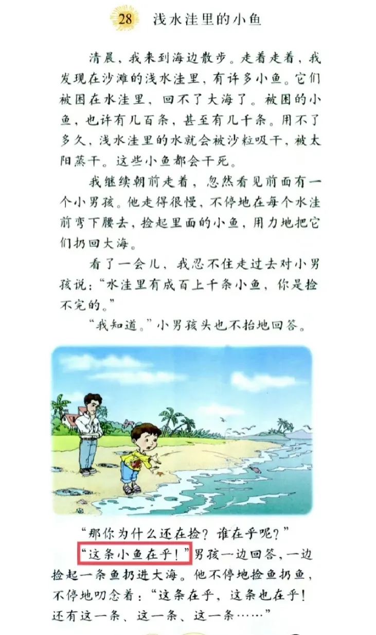 什么的大海二年级上册语文