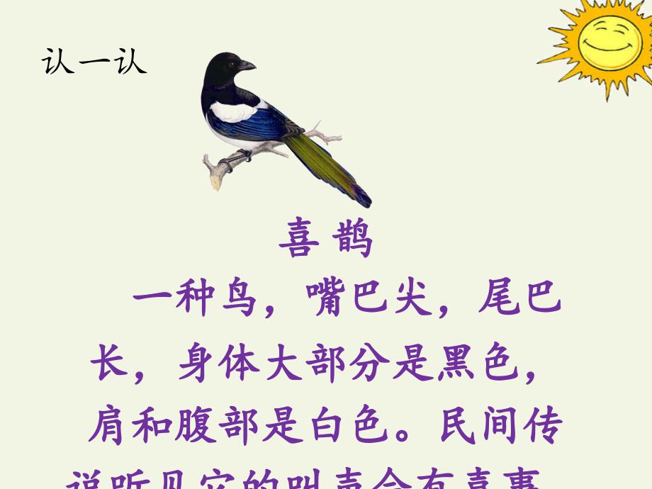 什么的小鸟叠词两个字一年级