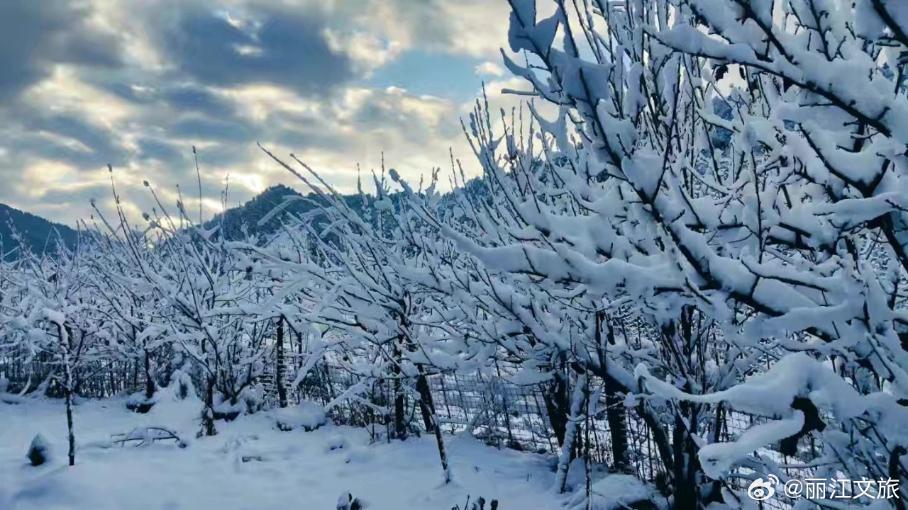 探寻2025年一月雪季奇迹，何时迎来降雪？