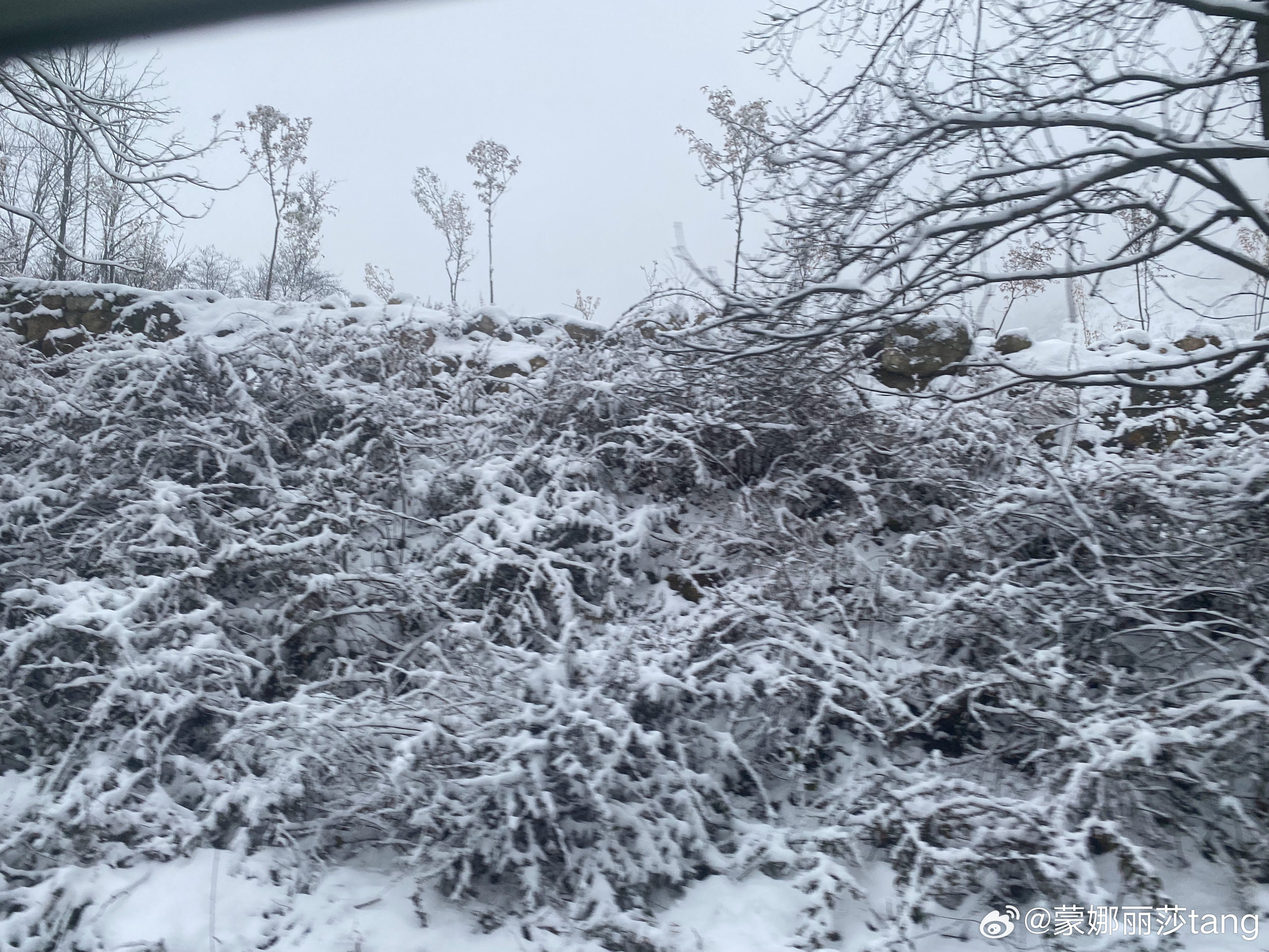 2025年初雪预报，几月几日将迎来初雪？