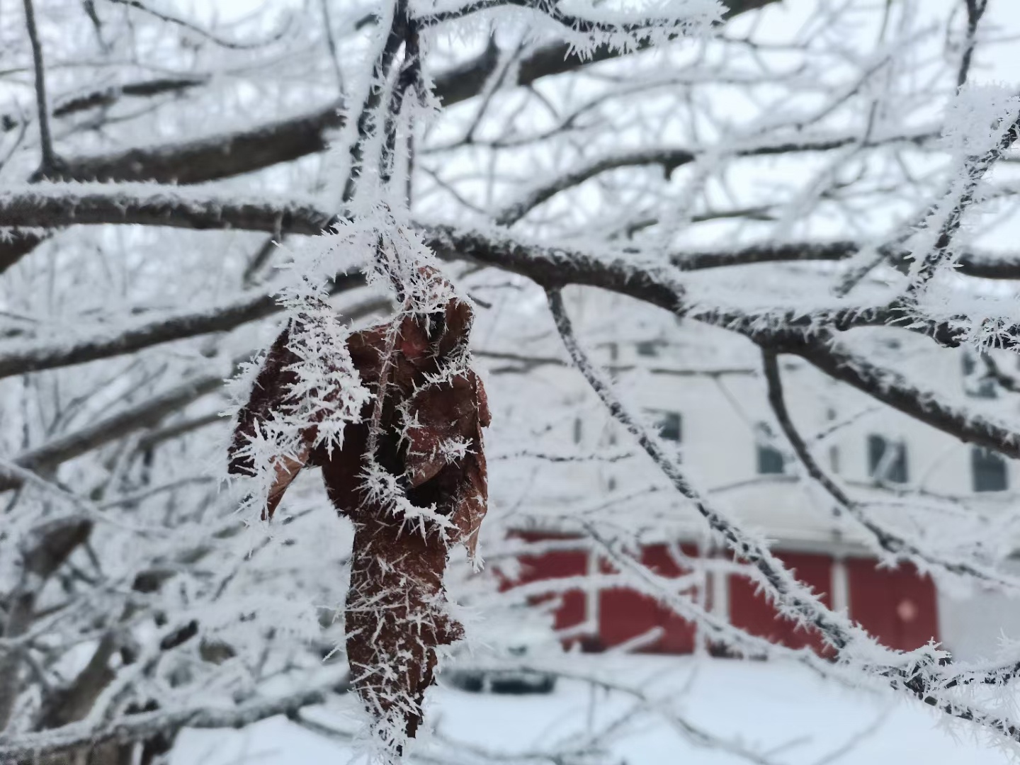 2024年雪季展望，何时迎来降雪？