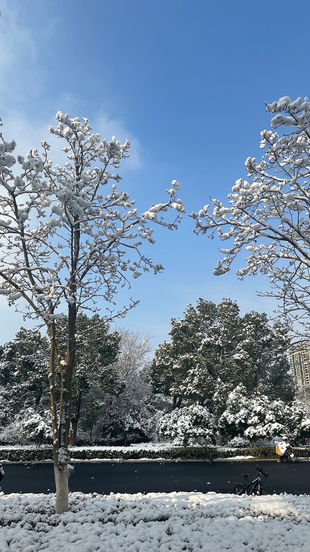 何时会下雪？