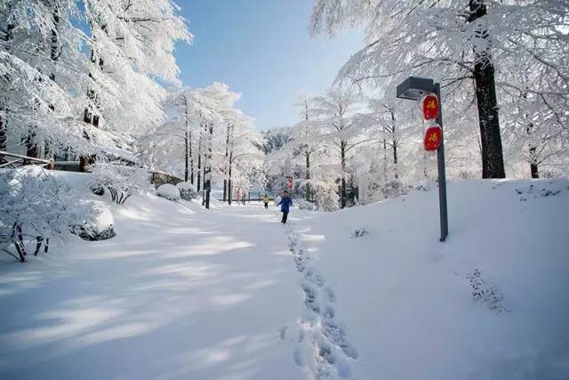 江苏冬雪奇景，展望2025年冬季的银装素裹时刻