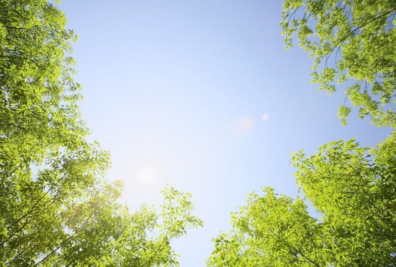 绿意盎然的大地像一首生动的诗篇