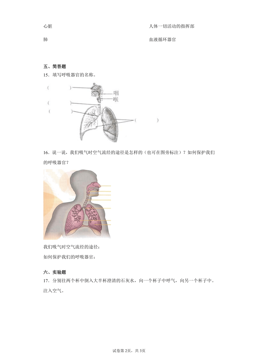 三年级填空版文章，呼吸的奥秘探索