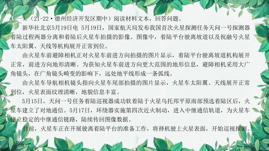 二年级上册知识的繁茂之旅