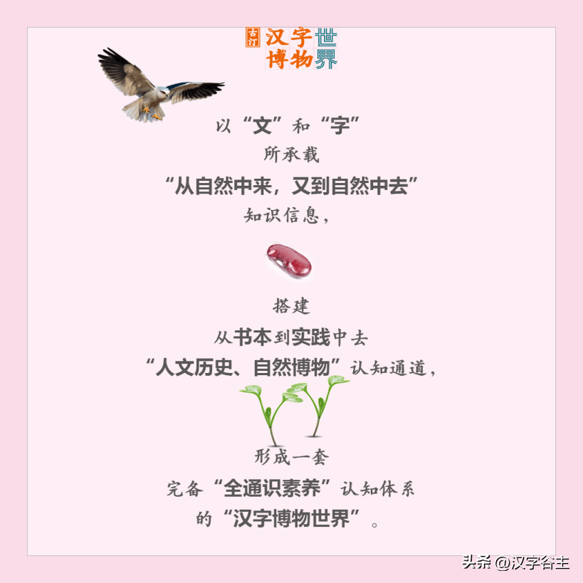 探寻汉字拼音奥秘，揭秘什的拼音及什拼音含义