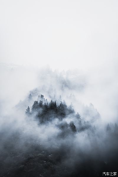 迷人的雾景，探索未知的神秘面纱