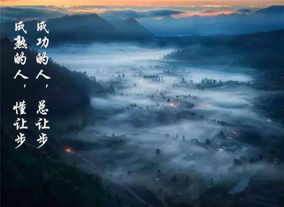 迷人的雾景，探索未知的神秘面纱