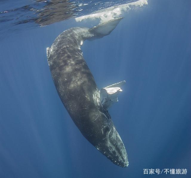 海洋之美，无尽大海的壮丽景色