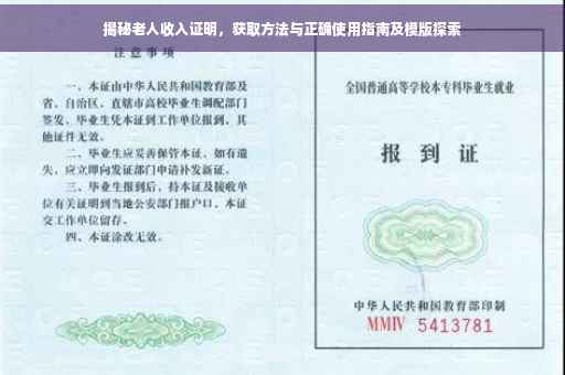 疫情期间无收入证明模板，指引与启示指南