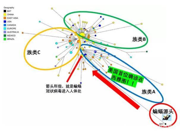 疫情病毒，新型冠状病毒的挑战与应对策略