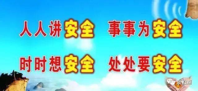 清华疫情学生事件全面解析，深度反思与探讨始末视频