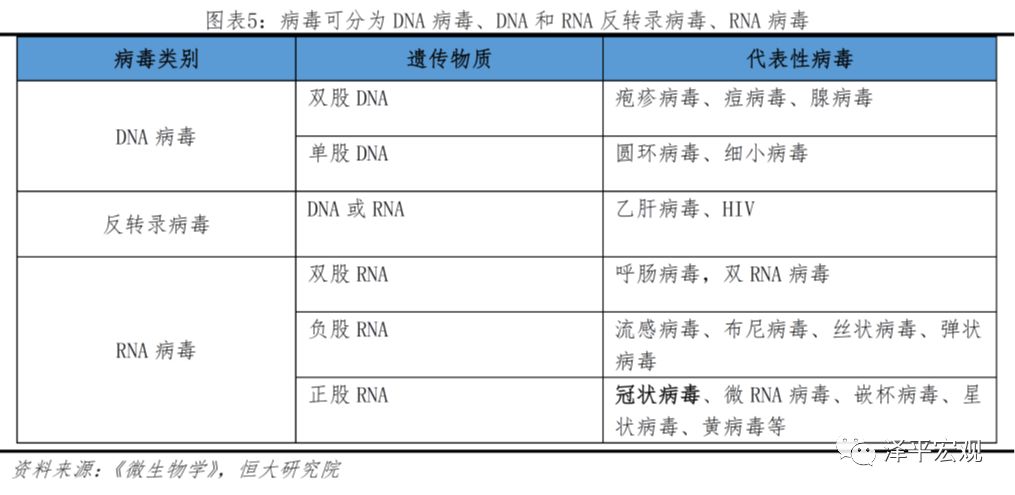 疫情期间病毒名字及其影响概述