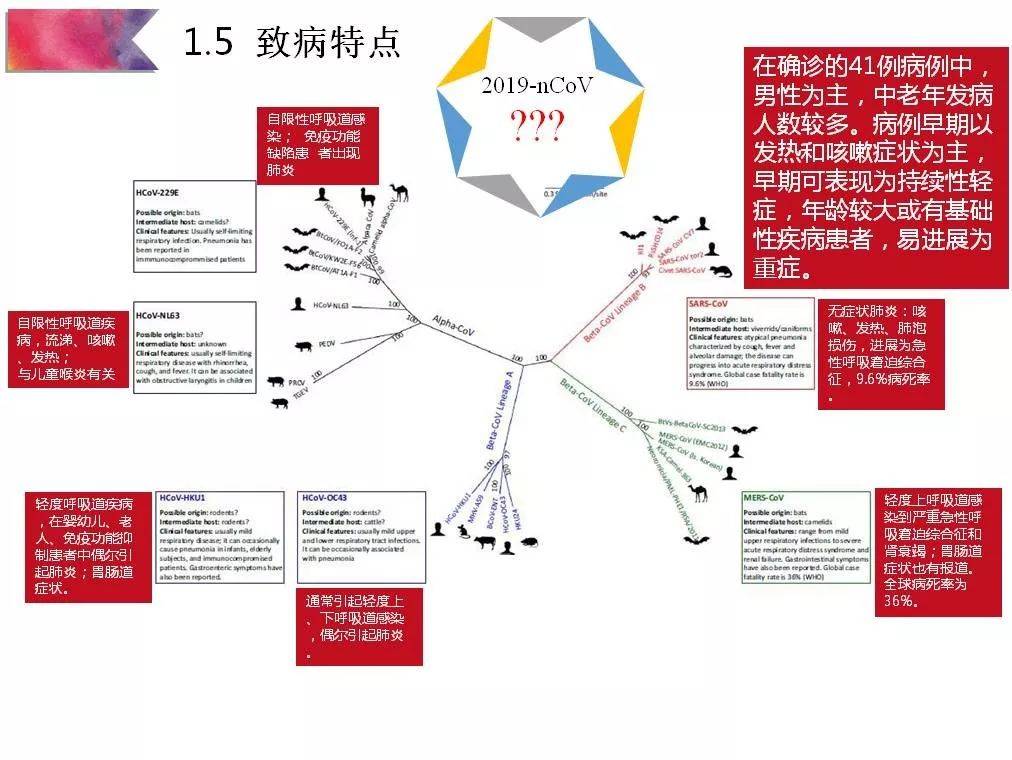 揭秘，2019年疫情背后的病毒类型探究