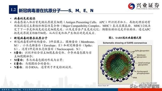 疫情疫苗三期临床研究探讨与进展