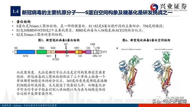 疫情疫苗三期临床研究探讨与进展