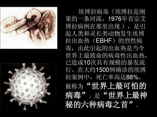 疫情那年开始——人类与病毒的较量