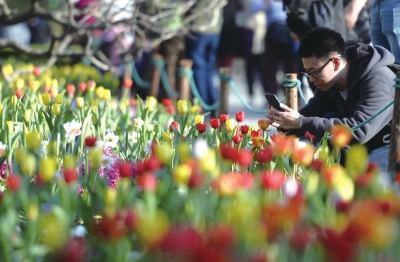 北京疫情曙光已现，期待春暖花开共同迎来胜利之日