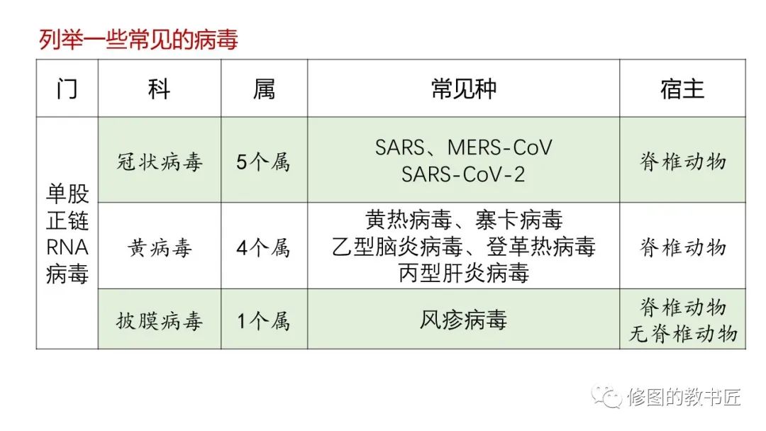 疫情病毒全称及广泛影响概述
