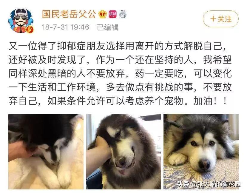 疫情封城下的生活反思与感悟