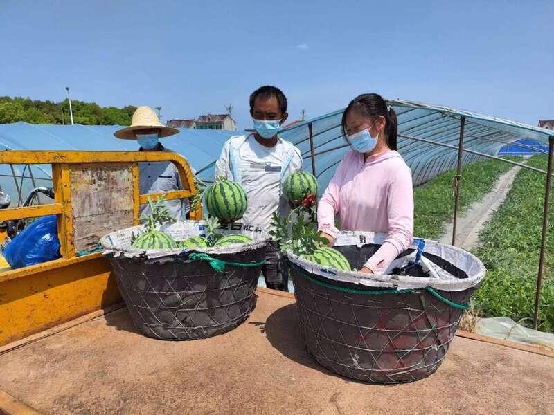 上海疫情起始时间与影响概述