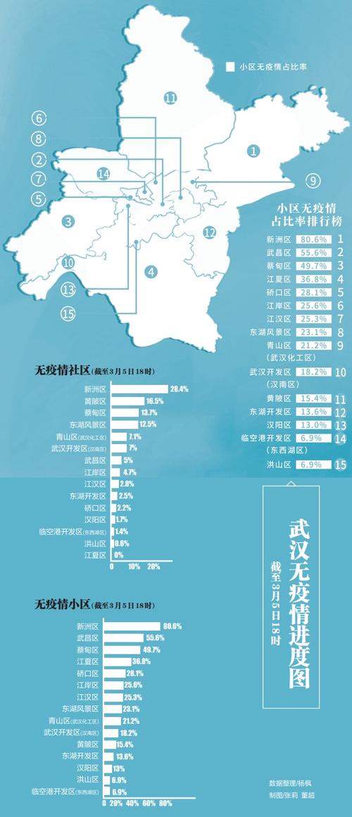 2019年武汉疫情回顾，全过程深度解析与反思