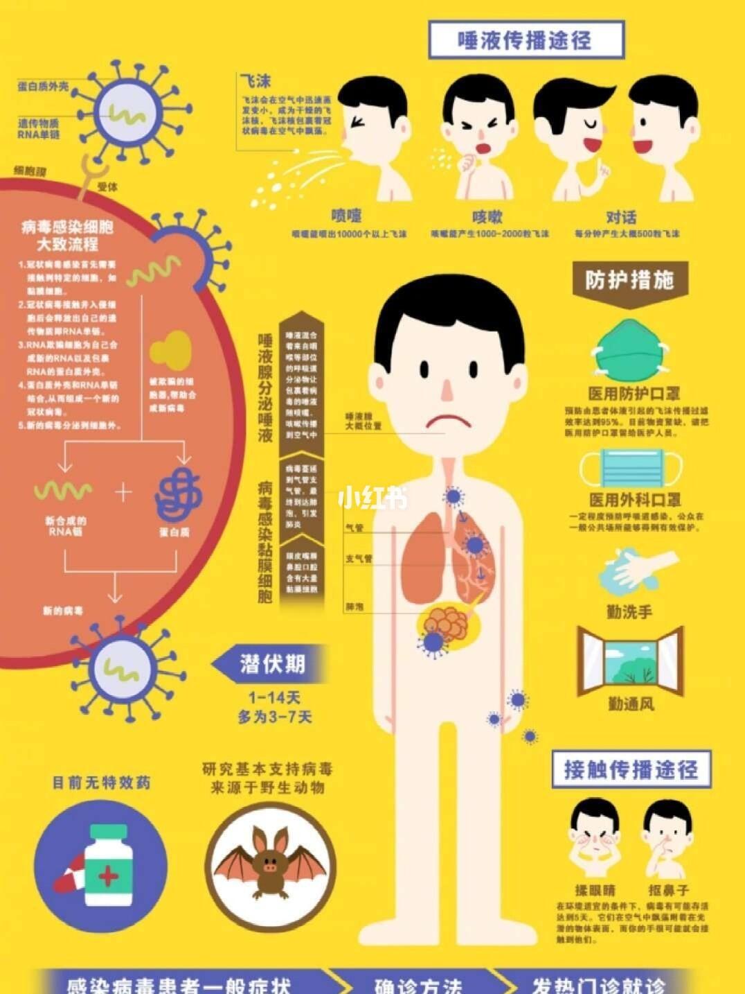 肺炎疫情早期症状与表现概述