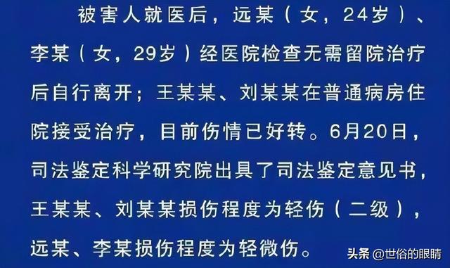 上海疫情判刑第一人，法律与公共安全的挑战