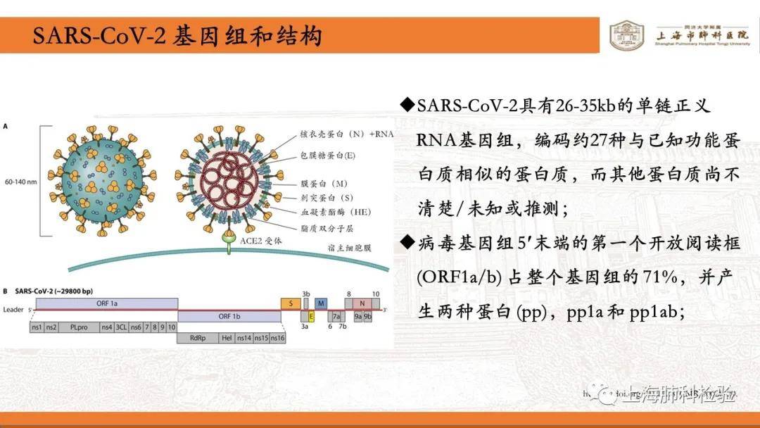 疫情二十年变迁，从SARS到COVID-19的演变之路