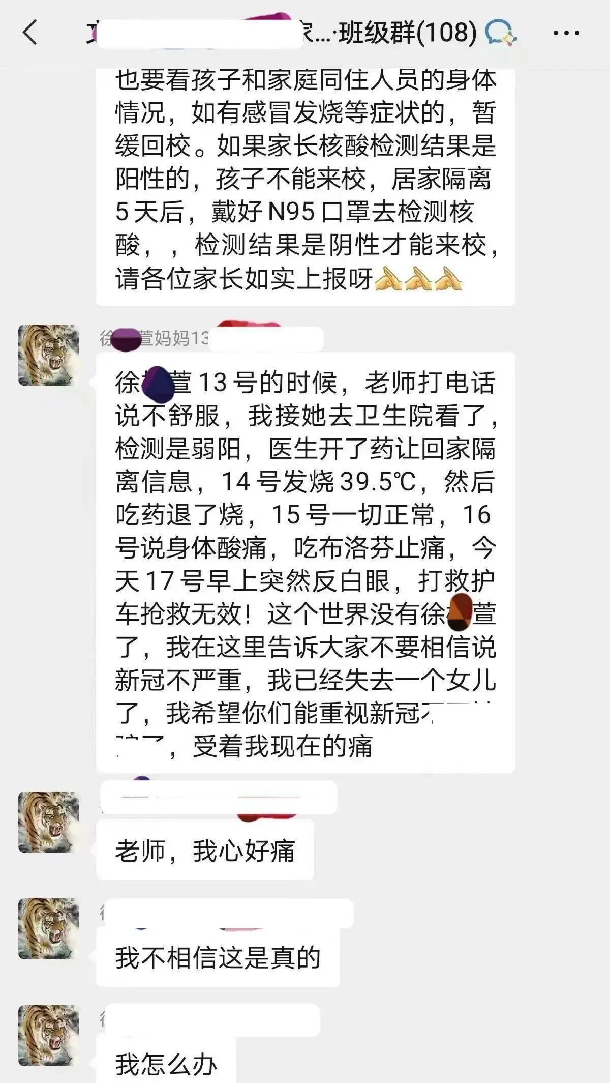 疫情全面放开最新动态解读，最新消息全面梳理与深度分析