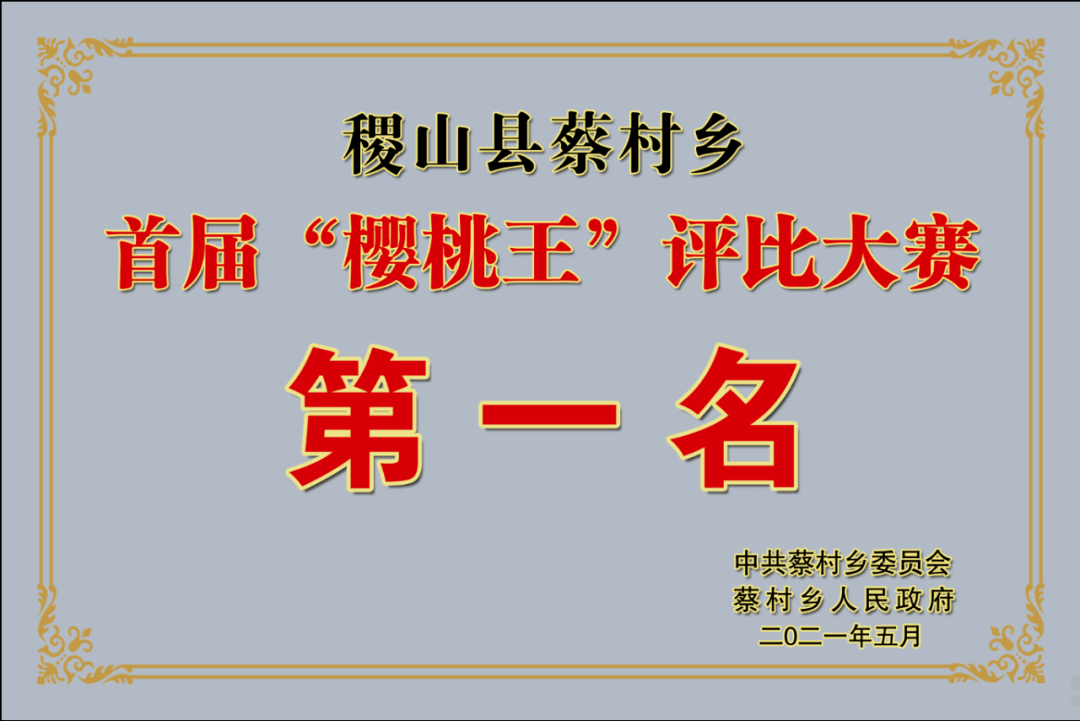 天津携手石家庄，共筑美好未来之梦