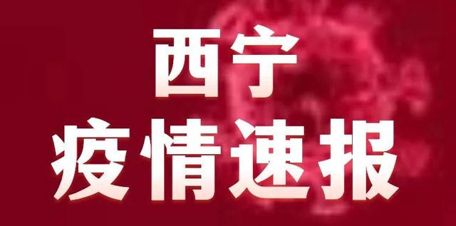 西宁XX月29日肺炎疫情最新报告及病例分析