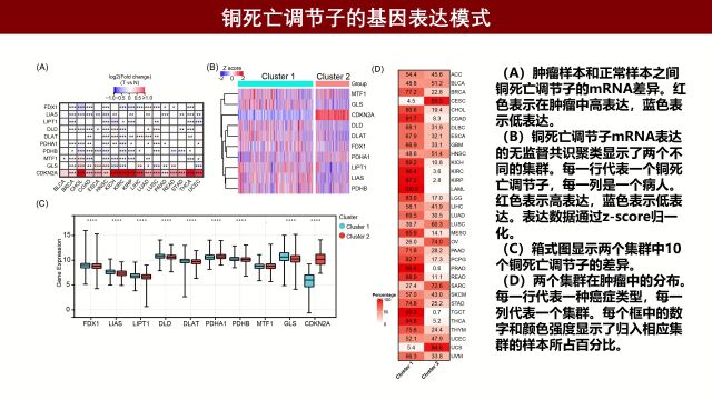 天津新冠肺炎死亡病例分析，受影响人群特征揭秘