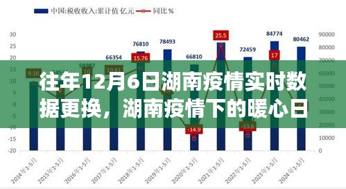 湖南省疫情地图数据揭秘，揭示数据背后的故事