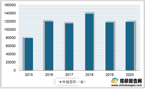 浙江省疫情数据分析报告，最新数据揭示增长趋势