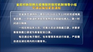 南京疫情波及省份的联防联控与应对挑战