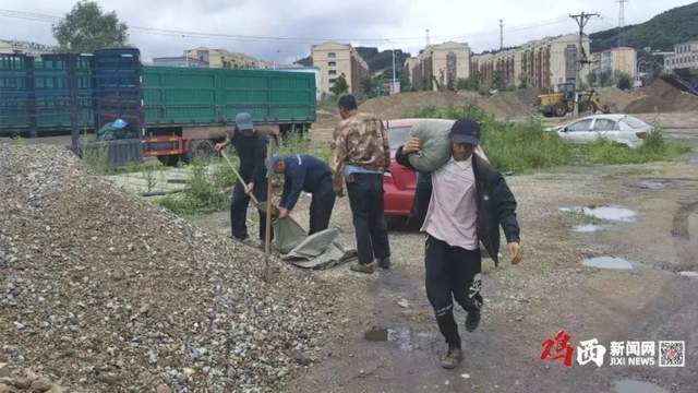 浙江严防台风来袭，筑牢防线，守护家园安全