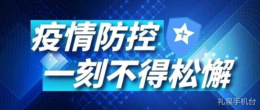 上海疫情防控指挥部官网，信息透明与公众力量的融合平台