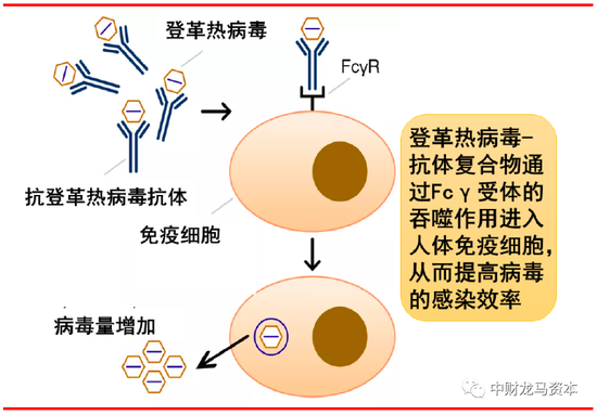 上海病毒情况概览