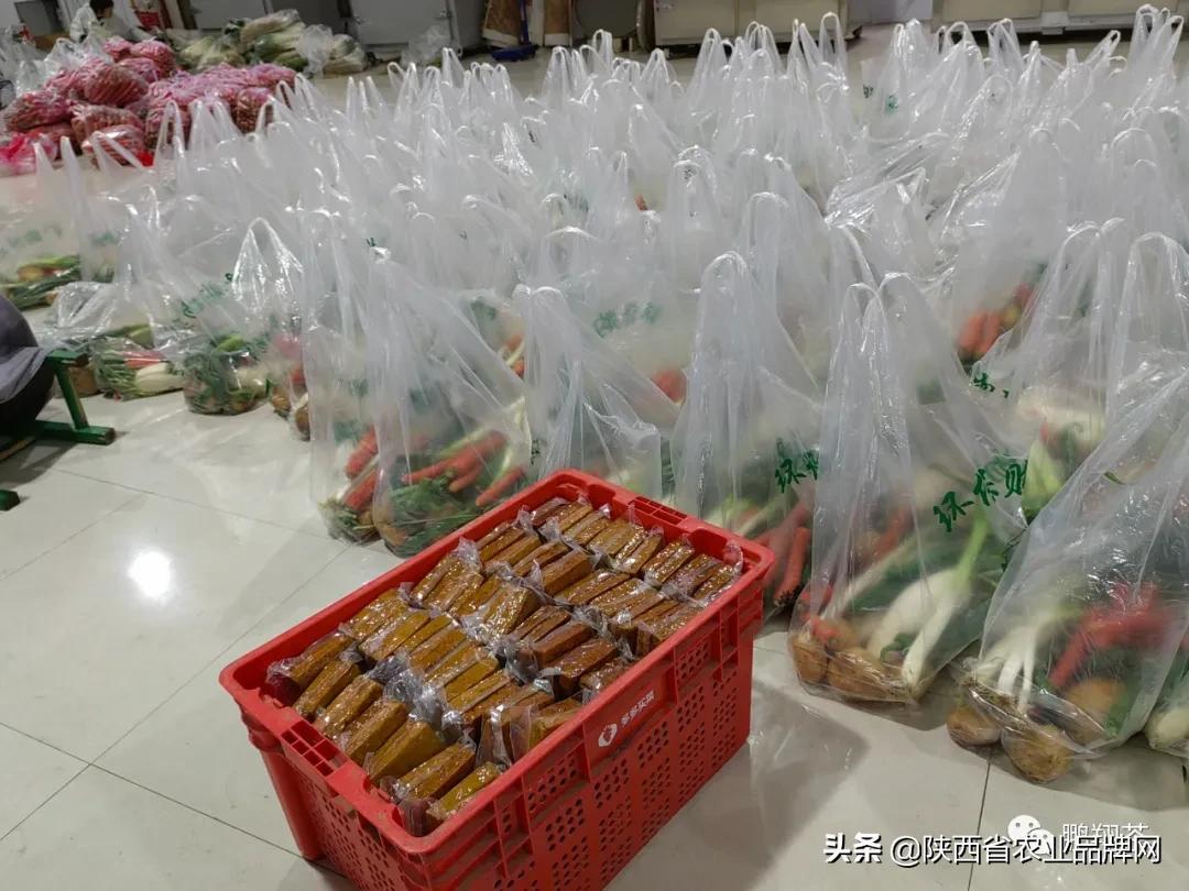香港与大陆携手抗疫，共克时艰前行