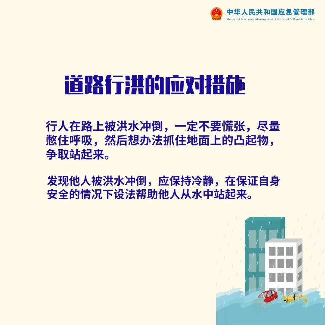 香港海港疫情的挑战与应对策略