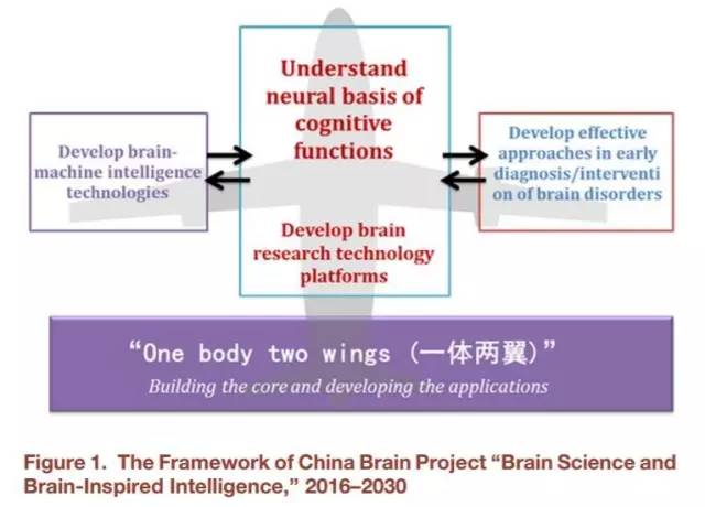 香港是否算疫区，深度解读与理解