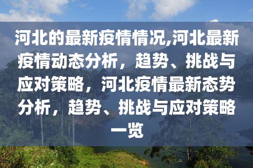 石家庄大学生应对新冠疫情挑战的策略与行动