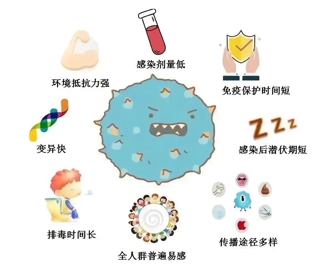 石家庄在校大学生感染，挑战与应对策略解析