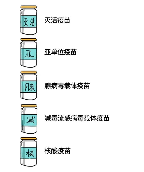 北京与安徽疫苗对比，探究两种疫苗的特点与差异