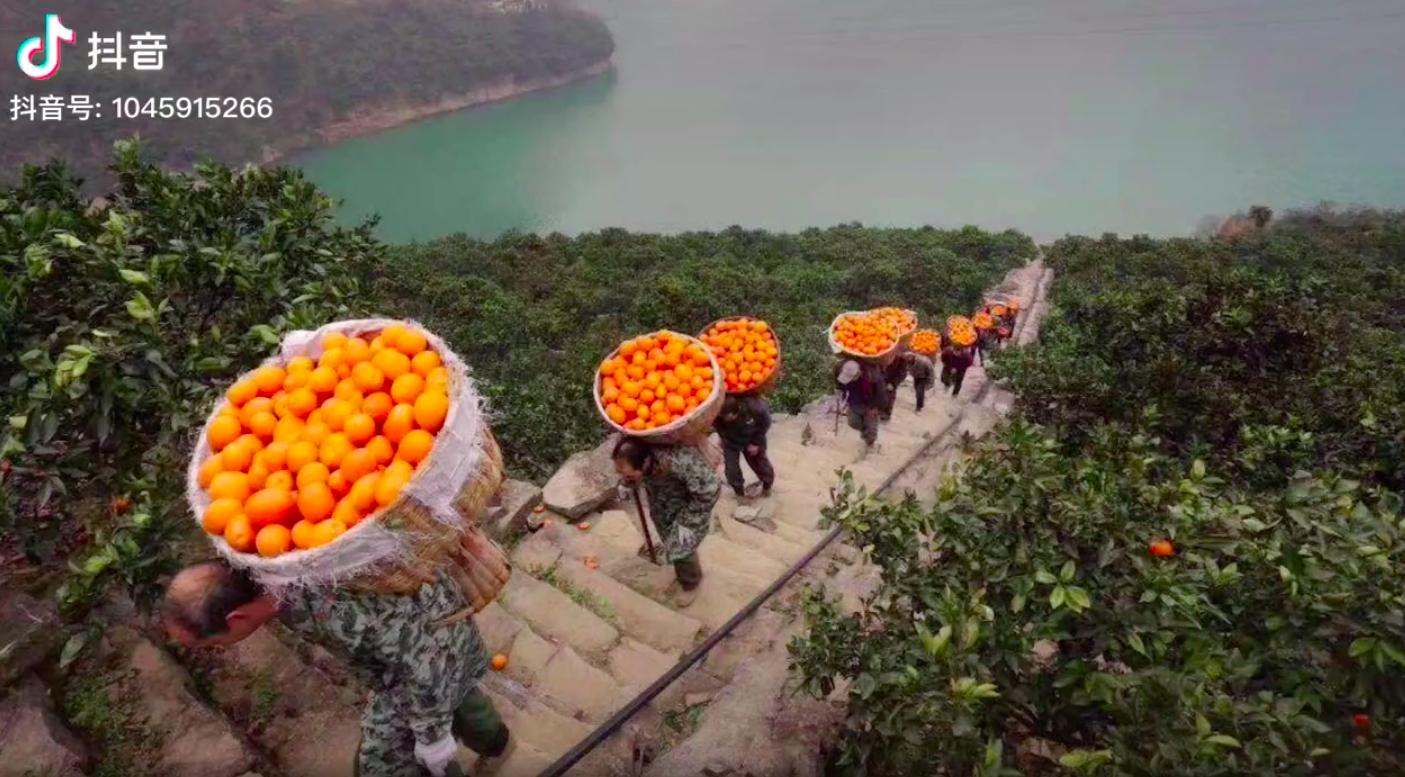 北京与河北解封时刻，重逢与复苏的期待之路