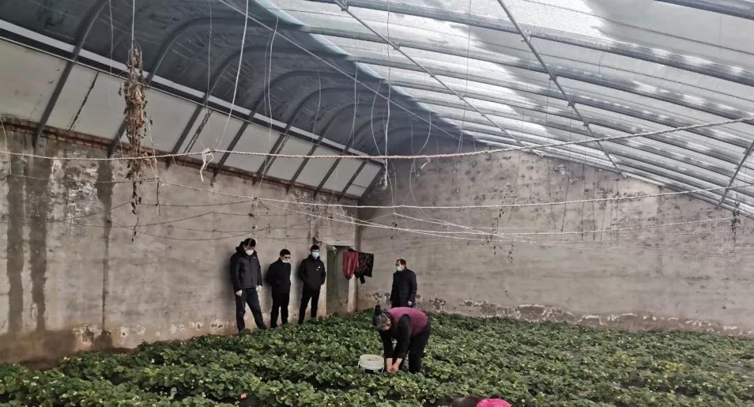 北京疫情防控与应对措施