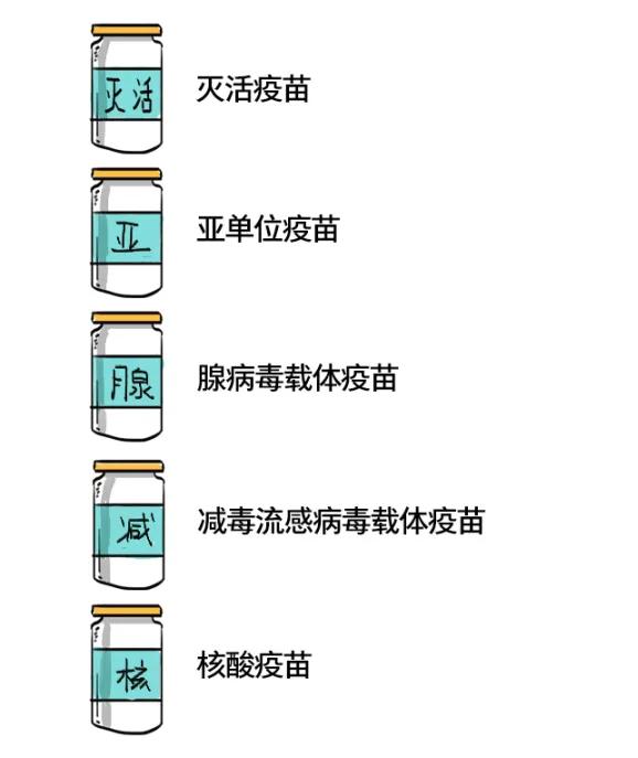 北京疫苗种类概览，疫情下的研发进展与保护力量