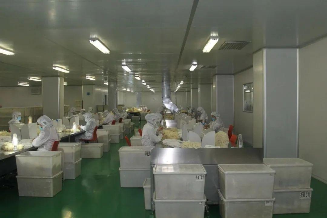天津机场防疫情况深度解析